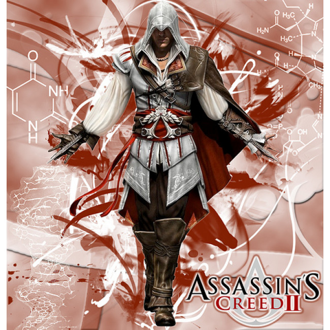 Assassin's Creed II Ezio Cosplay Costume